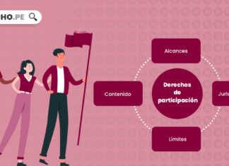 derechos-participacion-LP