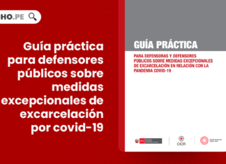 guia-practica-defensores-publicos-medidas-excepcionales-excarcelacion-LP