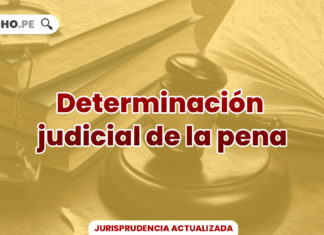 jurisprudencia-principio-determinacion-judicial-pena-LP