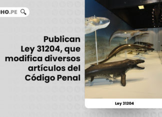 ley-31204-ley-general-patrimonio-paleontologico-peru-LP