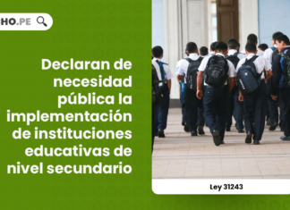 ley-31243-declaran-necesidad-publica-implementacion-instituciones-educativas-nivel-secundario-LP