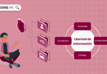 Libertad de información: concepto, contenido, límites, jurisprudencia libertad-información-LP
