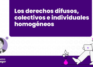 los-derechos-difusos-colectivos-e-individuales-homogeneos-LP