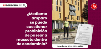 mediante-amparo-puede-cuestionar-prohibicion-pasear-mascota-condominio-exp-3159-2015-aa-tc-LPDERECHO