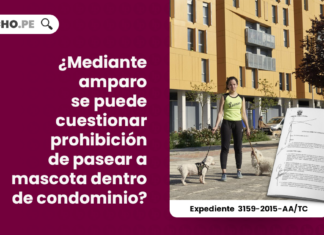 mediante-amparo-puede-cuestionar-prohibicion-pasear-mascota-condominio-exp-3159-2015-aa-tc-LPDERECHO