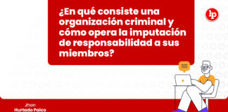 organizacion-criminal-imputacion-responsabilidad-miembros-LP