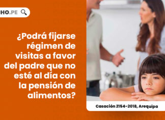 podra-fijarse-regimen-visitas-favor-padre-dia-pension-alimentos-casacion-2154-2018-arequipa-LP