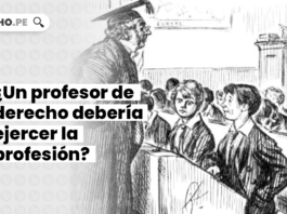 profesor-derecho-deberia-ejercer-profesion-por-albert-m-kales-y-ezra-ripley-thayer-LP