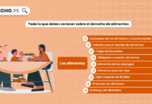 todo-debes-conocer-sobre-derecho-de-alimentos-LP