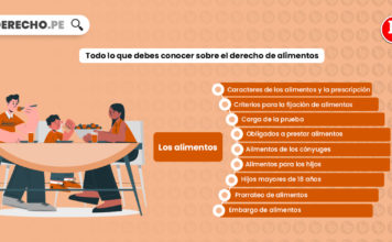 Todo lo que debes conocer sobre el derecho de alimentos todo-debes-conocer-sobre-derecho-de-alimentos-LP