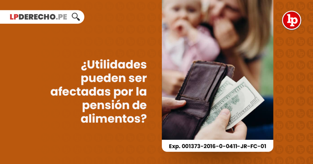 utilidades-pueden-afectadas-calculo-pension-alimentos-exp-001373-2016-0-0411-jr-fc-01-LP