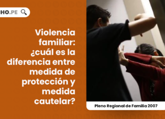 violencia-familiar-medida-proteccion-pleno-jurisdiccional-regional-familia-2007-LPDERECHO