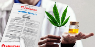 Cannabis medicinal ley con logo de LP