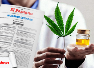 Cannabis medicinal ley con logo de LP