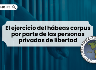El ejercicio del hábeas corpus por parte de las personas privadas de libertad - LP