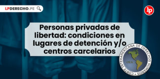 Personas privadas de libertad: condiciones en lugares de detención y/o centros carcelarios