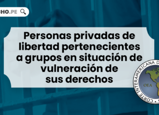 Personas privadas de libertad pertenecientes a grupos en situación de vulneración de sus derechos