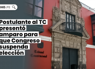 Postulante al TC presentó amparo para que Congreso suspenda elección