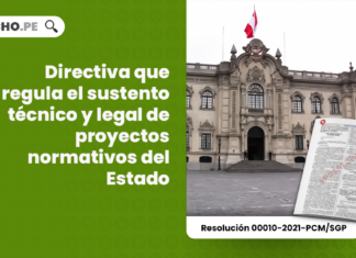 Directiva que regula el sustento técnico y legal de proyectos normativos del Estado