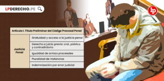 Titulo-preliminar-codigo-procesal-penal-articulo-I.png