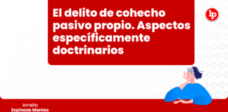 delito-cohecho-pasivo-propio-especificamente-doctrinarios-amelia-espinoza-LP