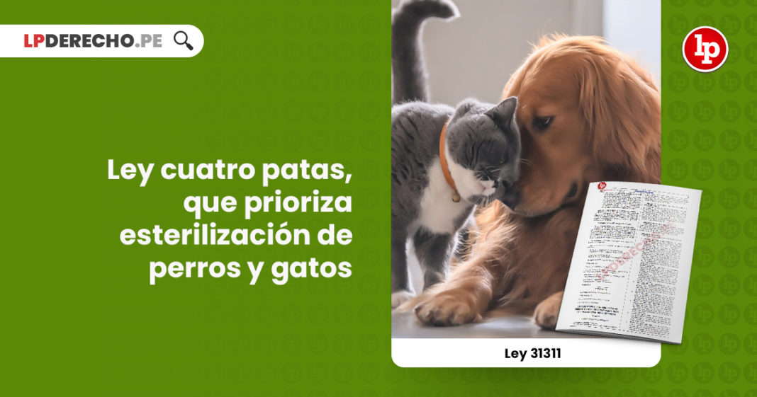 ley-gatos-perros-esterilizacion-LPDERECHO