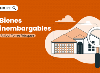 Bienes inembargables-LP