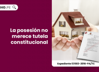 Tribunal Constitucional: La posesión no merece tutela constitucional