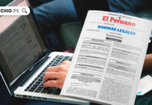 Internet computadora normas legales con logo de LP