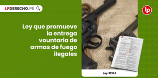 Ley 31324: Ley que promueve la entrega vountaria de armas de fuego ilegales