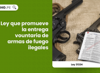 Ley 31324: Ley que promueve la entrega vountaria de armas de fuego ilegales
