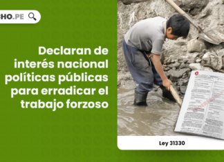 Ley 31330: declaran de interés nacional políticas públicas para erradicar el trabajo forzoso