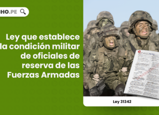 Ley 31342: Ley que establece la condición militar de oficiales de reserva de las Fuerzas Armadas