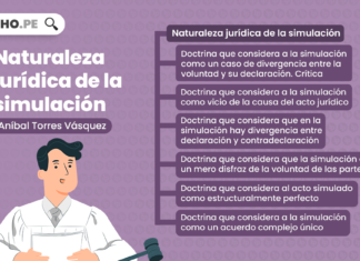 Naturaleza jurídica de la simulación