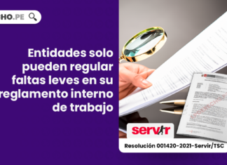 Entidades solo pueden regular faltas leves en su reglamento interno de trabajo
