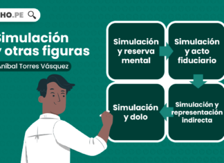 Simulación y acto fiduciario, representación idirecta, dolo, entre otras figuras Simulación y otras figuras