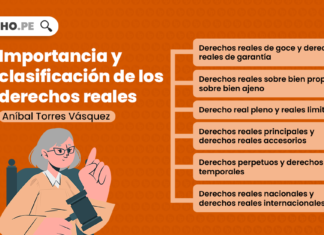 Importancia y clasificación de los derechos reales