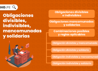 obliciones-divisibles-individuales-mancomunadas-LP