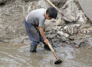 trabajo forzoso - LP
