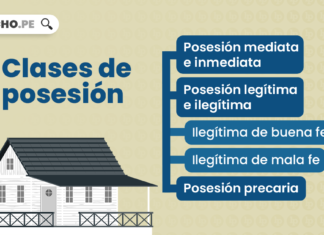 Clases de posesión: mediata-inmediata; legítima-ilegítima; y precaria