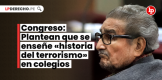 Congreso: Plantean que se enseñe «historia del terrorismo» en colegios