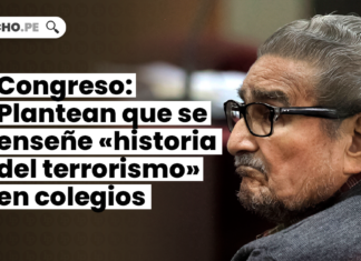 Congreso: Plantean que se enseñe «historia del terrorismo» en colegios