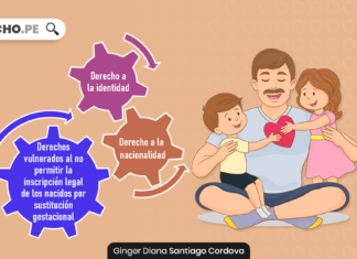 Vacío legal que vulnera derechos cuando el padre no revela la identidad de la madre en la inscripción de los hijos nacidos por técnica de reproducción asistida con logo de LP