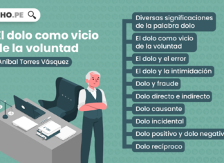 Acto jurídico: el dolo como vicio de la voluntad El dolo como vicio de la voluntad-LP