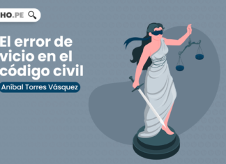 Acto jurídico: el error de vicio, bien explicado por Aníbal Torres Vásquez El error de vicio en el código civil-LP