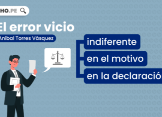 Acto jurídico: el error vicio (artículos 204 al 209 del Código Civil). Explicado por Aníbal Torres Vásquez Error vicio-LP