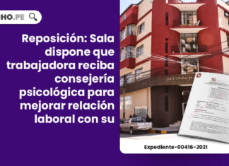 Reposición: Sala dispone que trabajadora reciba consejería psicológica para mejorar relación laboral con su empleadora