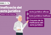 Ineficacia del acto jurídico, explicado por Aníbal Torres Vásquez Ineficacia del acto jurídico