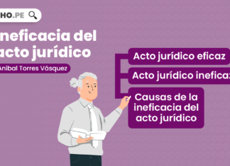 Ineficacia del acto jurídico
