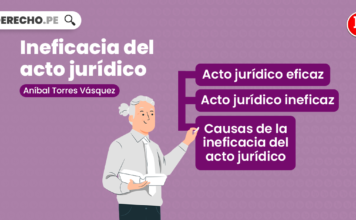 Ineficacia del acto jurídico